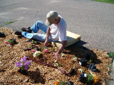 Dad planting petunias