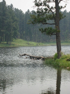 Lakota Lake