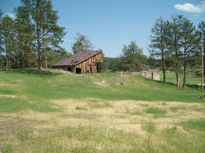 Old Mine